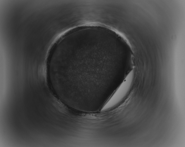 X0000096711319200802191500