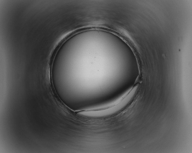 X0000096711320200802191500