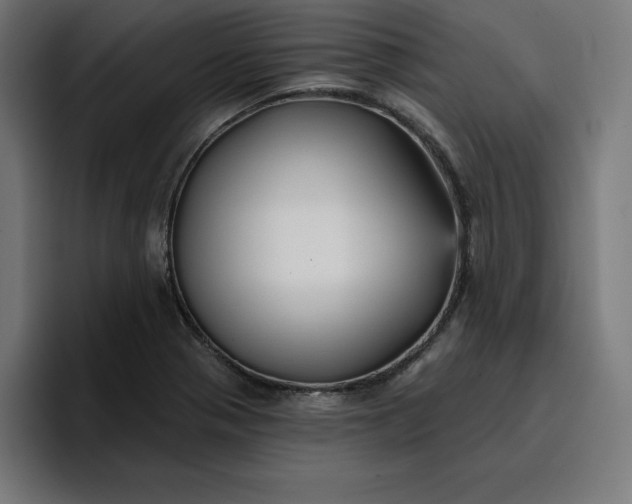 X0000096711321200802191500