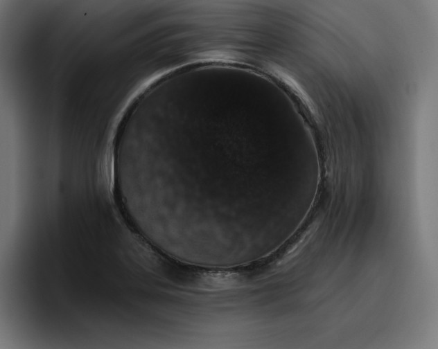 X0000096711323200802191500