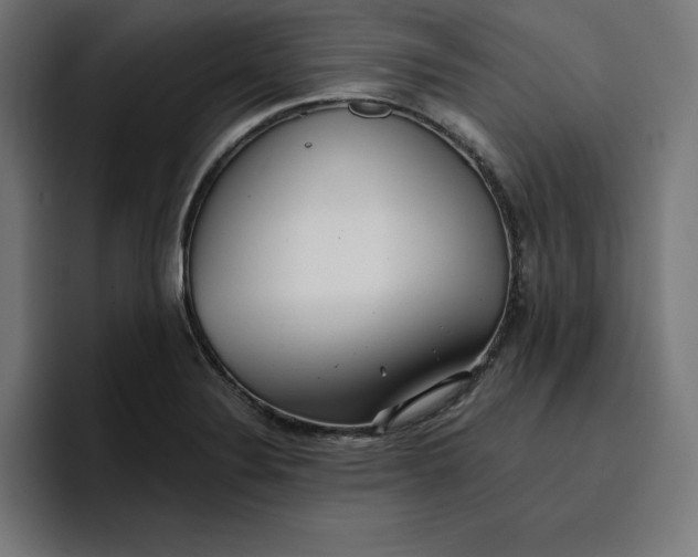 X0000096711324200802191500