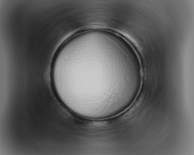 X0000096711325200802191500