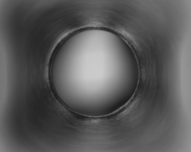 X0000096711326200802191500