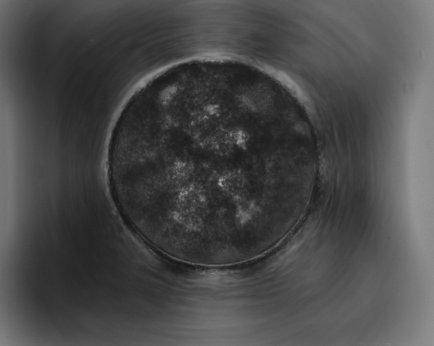 X0000096711327200802191500