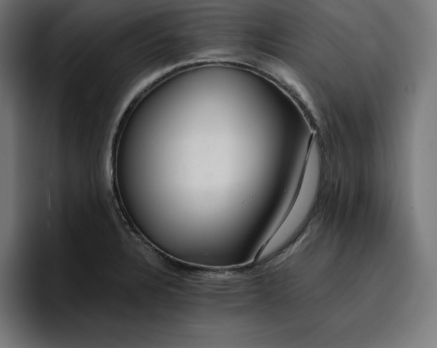 X0000096711328200802191500