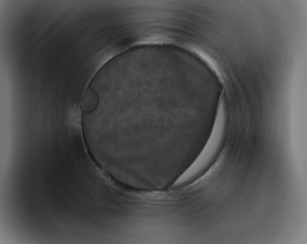 X0000096711329200802191500