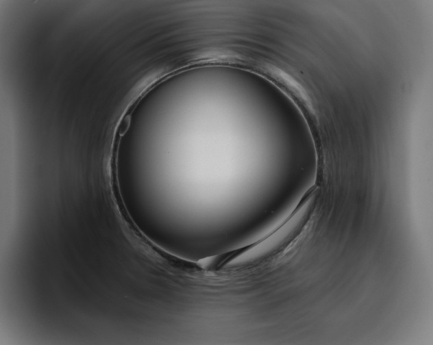 X0000096711330200802191500