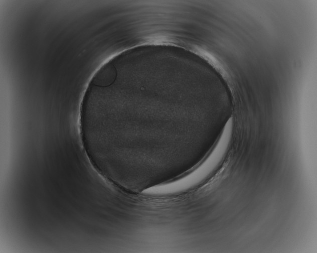 X0000096711331200802191500