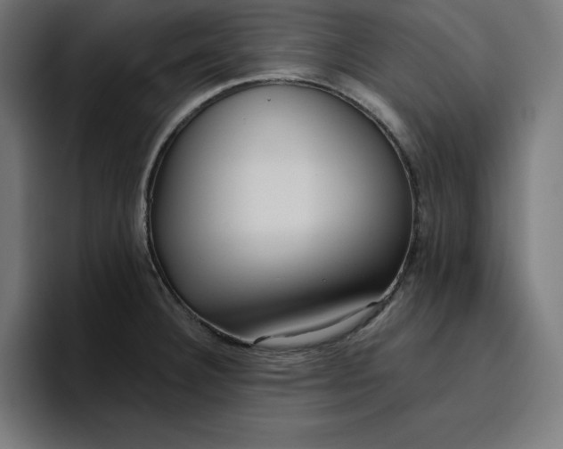 X0000096711332200802191500