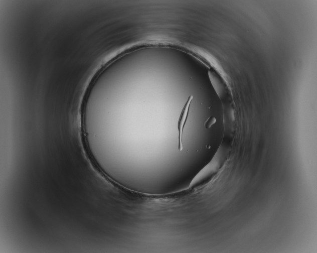 X0000096711335200802191500