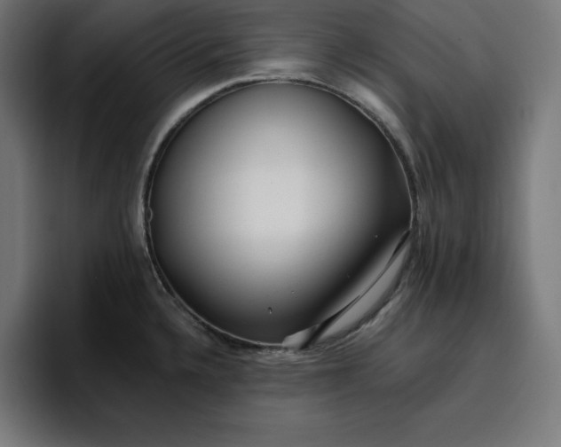 X0000096711336200802191500