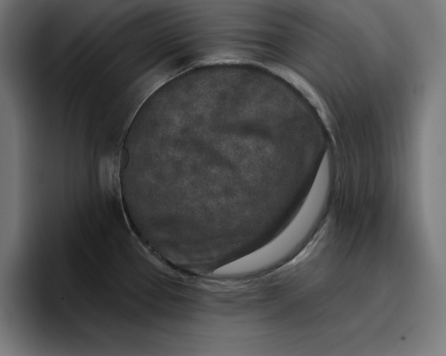 X0000096711337200802191500