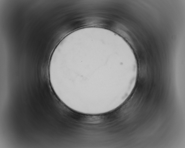 X0000096711338200802191500