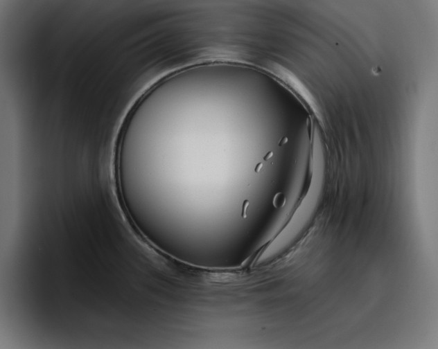 X0000096711339200802191500