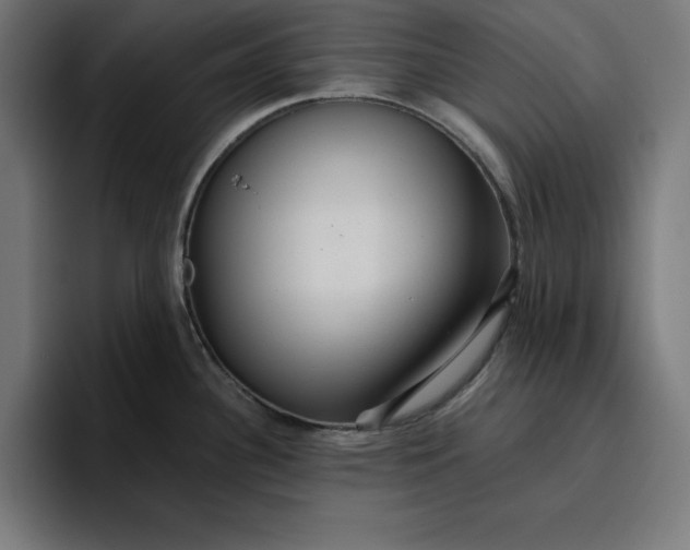 X0000096711340200802191500