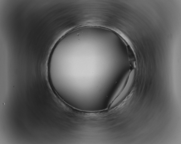 X0000096711341200802191500