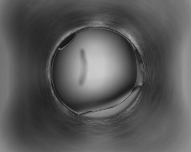 X0000096711342200802191501