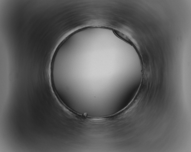 X0000096711343200802191501