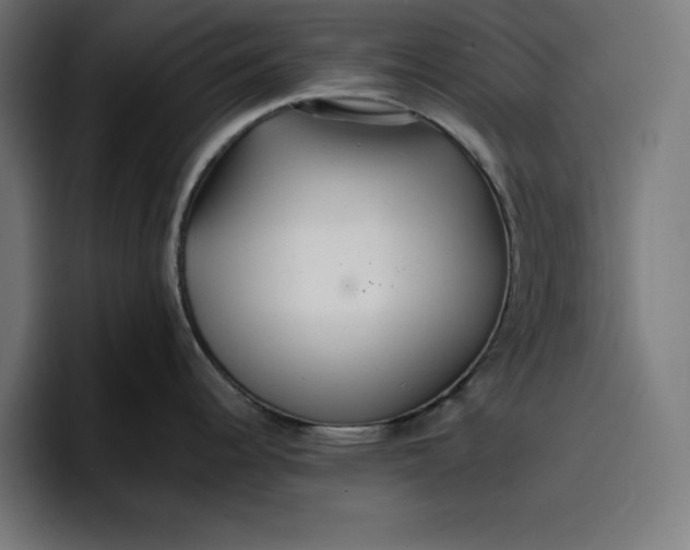 X0000096711344200802191501