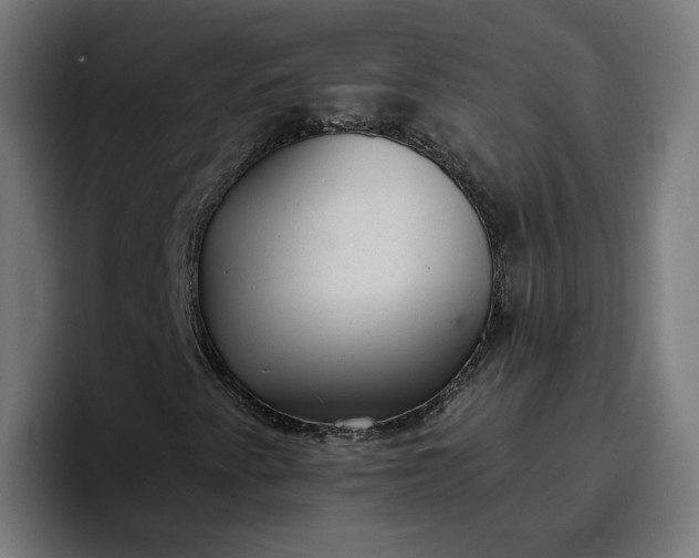 X0000096711345200802191500