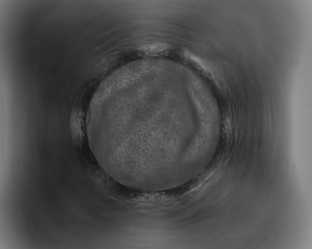 X0000096711346200802191500