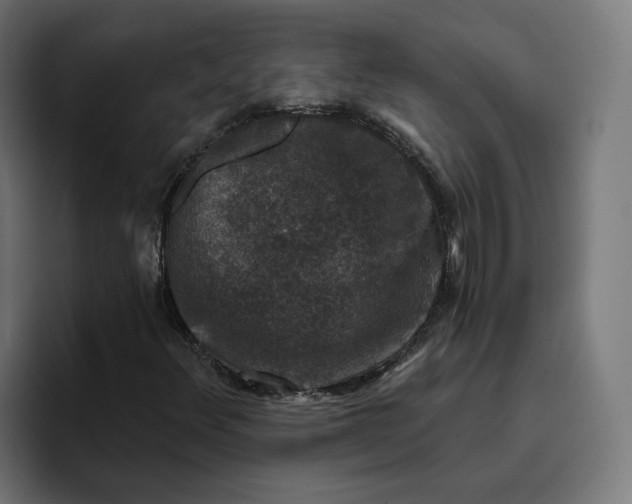 X0000096711348200802191500