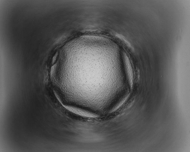 X0000096711350200802191500