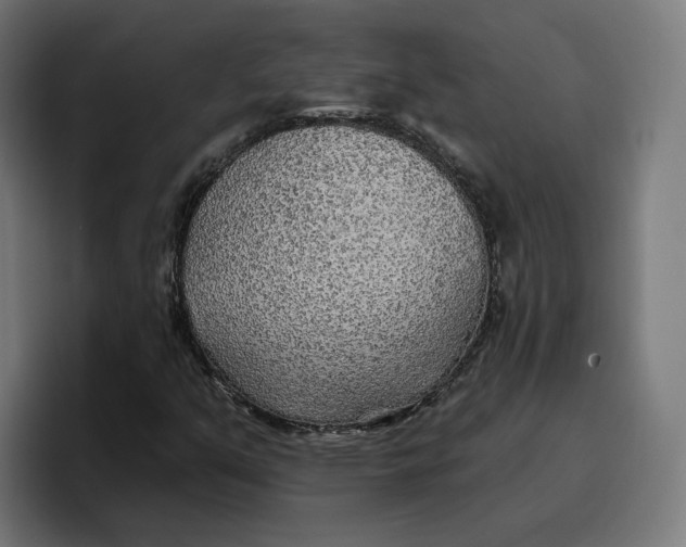 X0000096711351200802191500