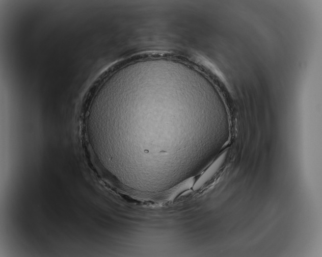 X0000096711352200802191500