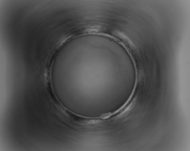 X0000096711353200802191500