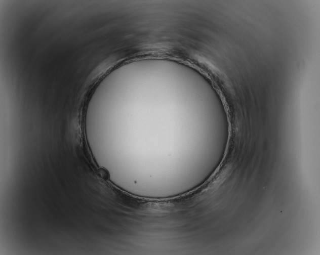 X0000096711354200802191500