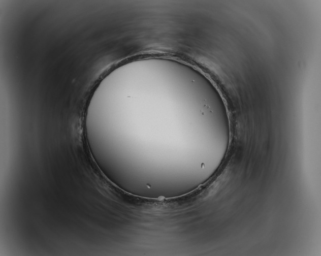 X0000096711355200802191500