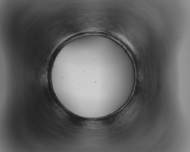 X0000096711356200802191500