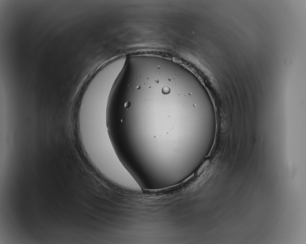 X0000096711357200802191500