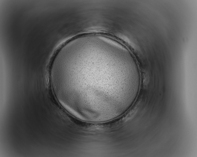 X0000096711358200802191500