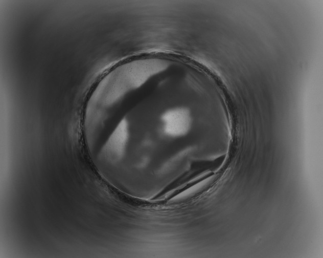 X0000096711359200802191500