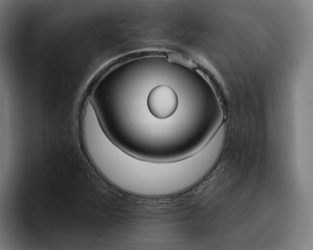 X0000096711360200802191500