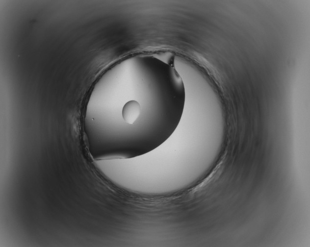 X0000096711361200802191500