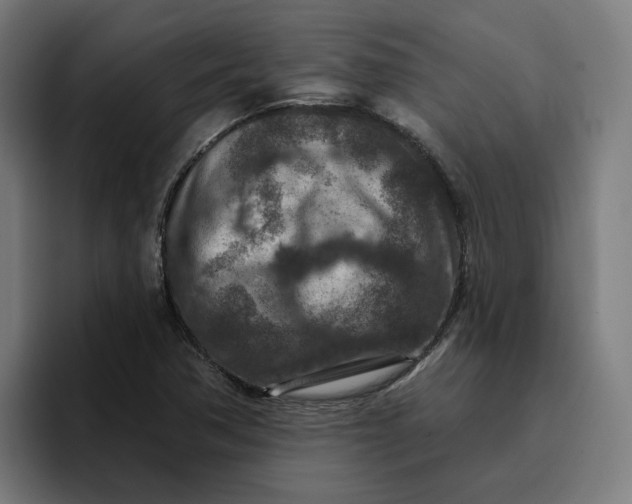 X0000096711362200802191500