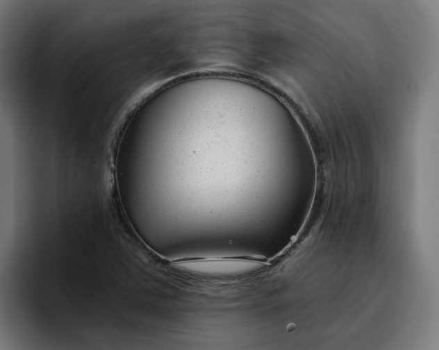 X0000096711363200802191500