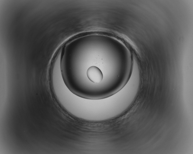 X0000096711364200802191500