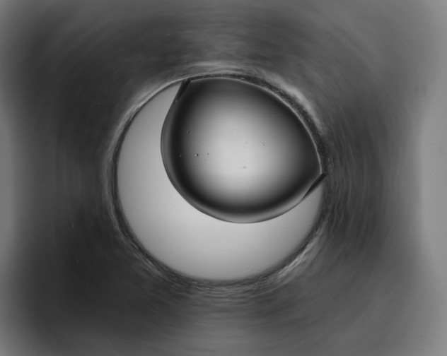 X0000096711365200802191500