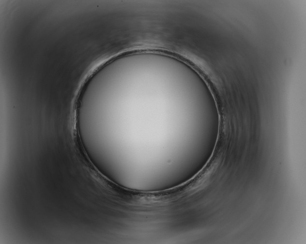 X0000096711366200802191500