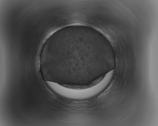 X0000096711367200802191500