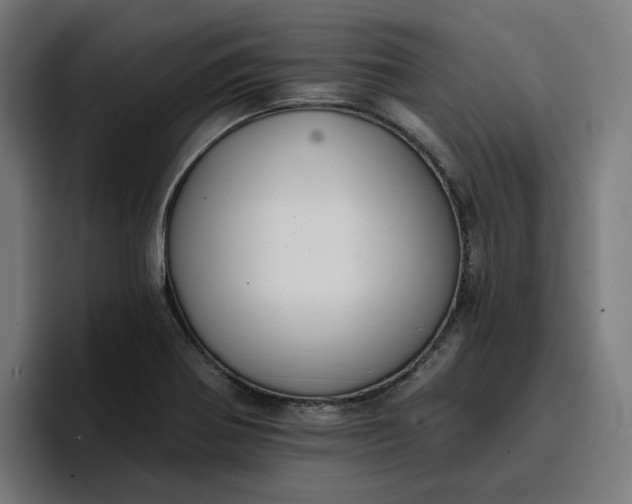 X0000096711370200802191500