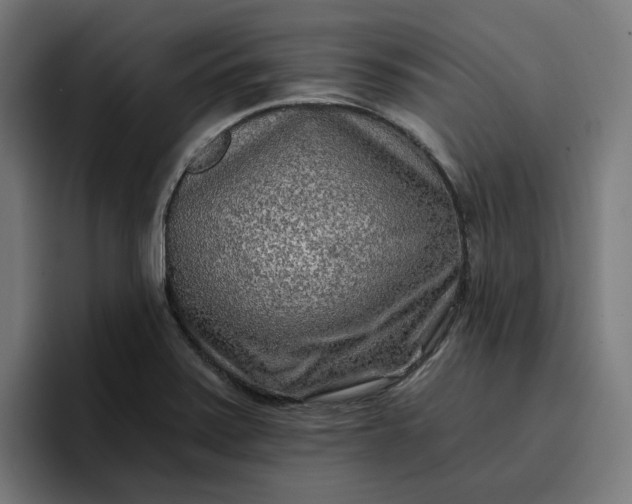 X0000096711371200802191500