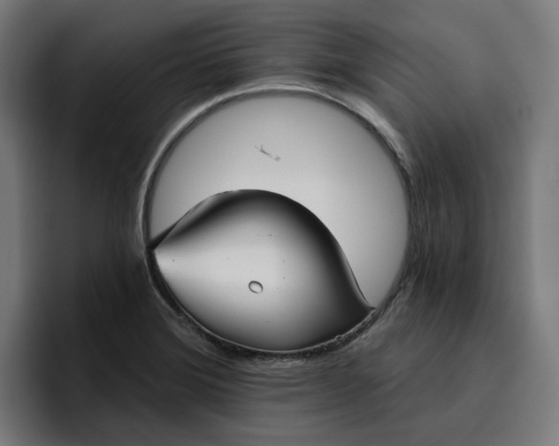 X0000096711372200802191500