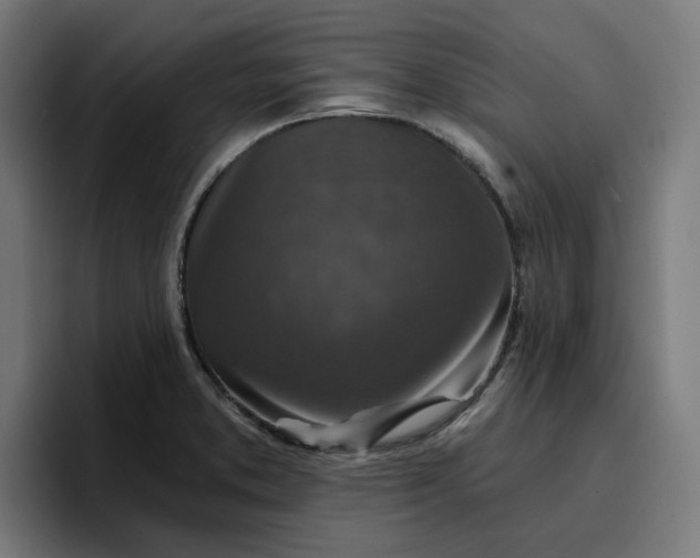 X0000096711373200802191500