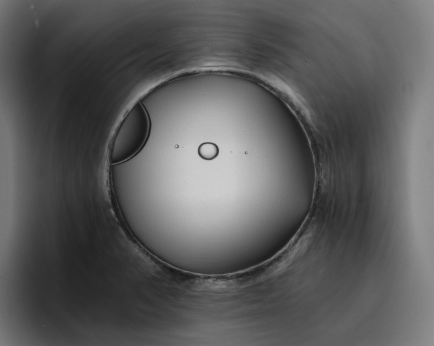 X0000096711374200802191500