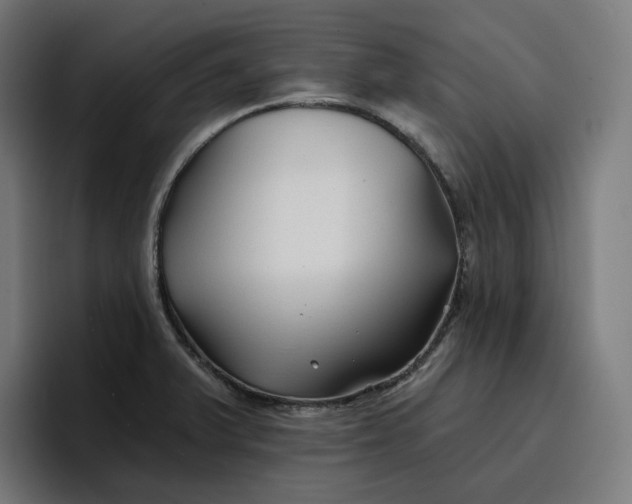 X0000096711375200802191500